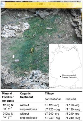 Biological soil crusts on agricultural soils of mesic regions promote microbial cross-kingdom co-occurrences and nutrient retention